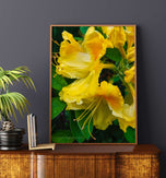 Yellow Rhododendron Flowers Canvas Wall Art Set of 4 | Unframed Vertical Macro Photography Prints | Biophilic Décor for Living Room, Bedroom & Office