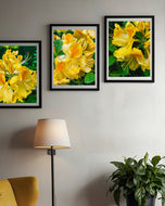 Yellow Rhododendron Flowers Canvas Wall Art Set of 4 | Unframed Vertical Macro Photography Prints | Biophilic Décor for Living Room, Bedroom & Office