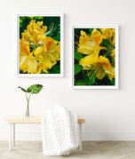 Yellow Rhododendron Flowers Canvas Wall Art Set of 4 | Unframed Vertical Macro Photography Prints | Biophilic Décor for Living Room, Bedroom & Office