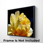 Yellow Rose Macro Photography Print | Unframed Horizontal Floral Wall Art