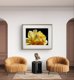 Yellow Rose Flower Raindrops Photography Print | Unframed Canvas Nature Macro Art | Modern Wall Decor Picture | Horizontal Botanical Home Art
