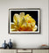 Yellow Rose Flower Raindrops Photography Print | Unframed Canvas Nature Macro Art | Modern Wall Decor Picture | Horizontal Botanical Home Art