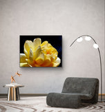 Yellow Rose Flower Raindrops Photography Print | Unframed Canvas Nature Macro Art | Modern Wall Decor Picture | Horizontal Botanical Home Art