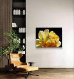 Yellow Rose Flower Raindrops Photography Print | Unframed Canvas Nature Macro Art | Modern Wall Decor Picture | Horizontal Botanical Home Art