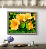 Yellow Lily Flowers with Raindrops - Authentic Macro Photography - Unframed Canvas Horizontal Print - Biophilic Style Wall Art Decor