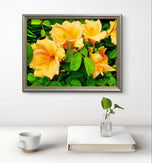 Yellow Lily Flowers with Raindrops - Authentic Macro Photography - Unframed Canvas Horizontal Print - Biophilic Style Wall Art Decor