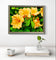 Yellow Lily Flowers with Raindrops - Authentic Macro Photography - Unframed Canvas Horizontal Print - Biophilic Style Wall Art Decor