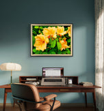 Yellow Lily Flowers with Raindrops - Authentic Macro Photography - Unframed Canvas Horizontal Print - Biophilic Style Wall Art Decor