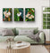 Polka Dot Begonia Flowers Closeup Photography Unframed Canvas Set of 3 Prints - Modern Nature Wall Art for Home Office Decor
