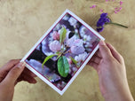 Greeting / Note Cards with Envelopes Featuring Apple Tree Flowers with Raindrops | Original Macro Photography | Blank 4 Cards Set – 4.5”x6.25”, 5.5”x8.5” | Nature Lover Gift