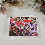 Winter Frost Covered Leaves Original Photography Greeting Cards | Blank Note Cards Set of 4 with Envelopes | 5" × 7" Canvas Paper