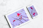 Digital 2 Prints Set 3x4 & 16x9 Ratios | Spring Pink Magnolia Authentic Photography | Instant Download for Home Wall Art Décor & Multi-Device Wallpapers