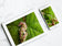 Digital 4 Prints 4x3 & 16x9 Ratios | Wetland Grass with Raindrops Authentic Macro Photography | Instant Download for Home Wall Art Decor & Multi-Device Wallpapers
