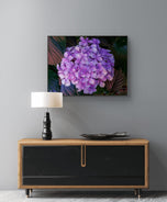 Purple Hydrangea Blossom | Authentic Closeup Photography Print | Unframed Canvas Horizontal Print | Biophilic Floral Wall Art