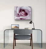 Purple Rose Macro Photography | Gallery Wrapped Canvas Horizontal Print | Authentic Nature Wall Art | Modern Home Office Decor