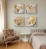 Pale Yellow Rose Canvas Prints Set of 6 - Authentic Nature Closeup Photography - Unframed Square Botanical Wall Art - Biophilic Home Office Decor - Modern Floral Art