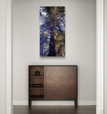 Forest Tree in Sunset | Authentic Nature Closeup Photography | Gallery Wrapped Canvas Vertical Print | Biophilic Wall Art for Home Decor