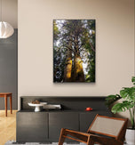 Forest Trees in Sunset Unframed Canvas Vertical Print Set of 2 | Authentic Nature Photography Wall Art | Biophilic Home Office Decor