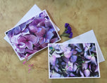 Greeting / Note Cards with Envelopes Featuring Vibrant Hydrangea Blossoms Original Macro Photography | Blank 4 Cards Set – 7” x 5” | Nature Lover Gift