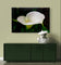 White Arum Lily with Raindrops Closeup Photography | Horizontal Gallery Wrapped Canvas Nature Wall Art for Biophilic Style Decor