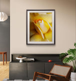 Yellow Rose Macro Photography Print | Authentic Nature Wall Art | Unframed Canvas Vertical Print | Modern Home Office Decor