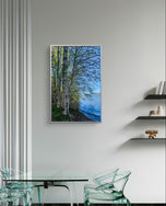 Tranquil Birch Trees by Mountain Lake Original Photography Wall Art Décor for Living Room, Office, or Cabin-Vertical Unframed Canvas Print