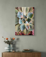 Gallery Wrapped Canvas Featuring Macro Photography of Green Succulents | Biophilic Style Vertical Wall Art for Home & Office Décor