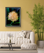 Vibrant Tropical Flower | Authentic Nature Closeup Photography Print | Vertical Unframed Canvas Wall Art for Biophilic Home Office Décor