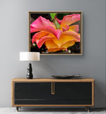 Pink Rose with Raindrops Macro Photography | Authentic Nature Wall Art | Unframed Canvas Horizontal Print | Modern Floral Home Office Decor