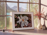 Greeting / Note Cards with Envelopes Featuring White Magnolia Flowers Original Closeup Photography | Blank 6 Cards Set – 7” x 5” | Nature Lover Gift