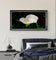 White Arum Lily with Raindrops | Authentic Nature Closeup Photography | Unframed Canvas Horizontal Print | Biophilic Wall Art Style