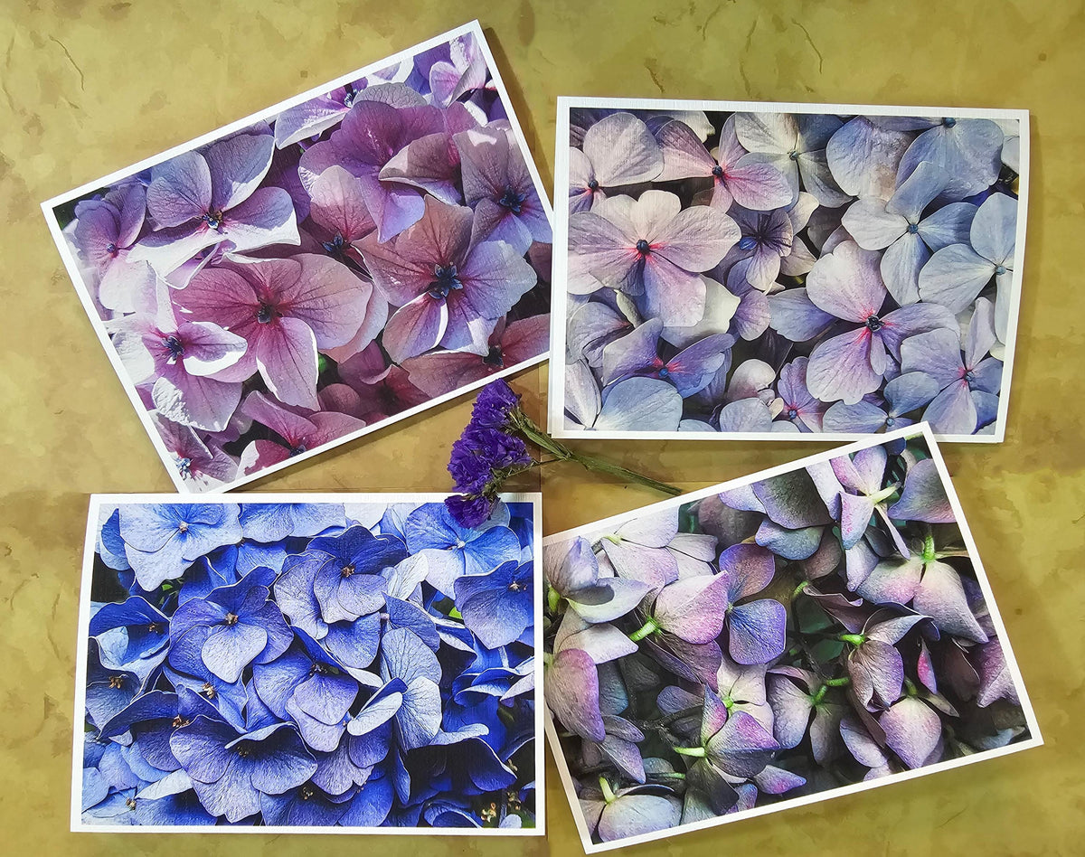 Greeting / Note Cards with Envelopes Featuring Vibrant Hydrangea Blossoms Original Macro Photography