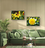 Yellow Dahlia Flowers Closeup Photography Unframed Canvas Set of 4 Prints - Modern Nature Wall Art for Home Office Decor