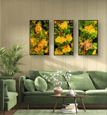Yellow Flowers with Raindrops Photography | Set of 3 Vertical Unframed Canvas Prints | Nature Wall Art for Home & Office