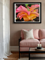 Digital 2 Prints Set 3x4 & 16x9 Ratios | Pink Roses with Raindrops Authentic Macro Photography | Instant Download for Home Wall Art Décor & Multi-Device Wallpapers