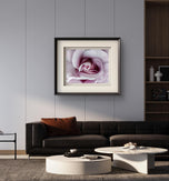 Purple Rose Authentic Macro Photography Horizontal Print | Unframed Canvas Wall Art | Modern Nature Home & Office Decor