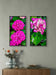 Pink Hydrangea Close-Up Nature Photography | Vertical Unframed Canvas Wall Art Set of 3 | Elegant Floral Print for Home, Office, or Gift