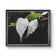 White Leaves with Raindrops Close-Up Nature Photography Print | Horizontal Unframed Canvas Wall Art for Home, Office, or Gift