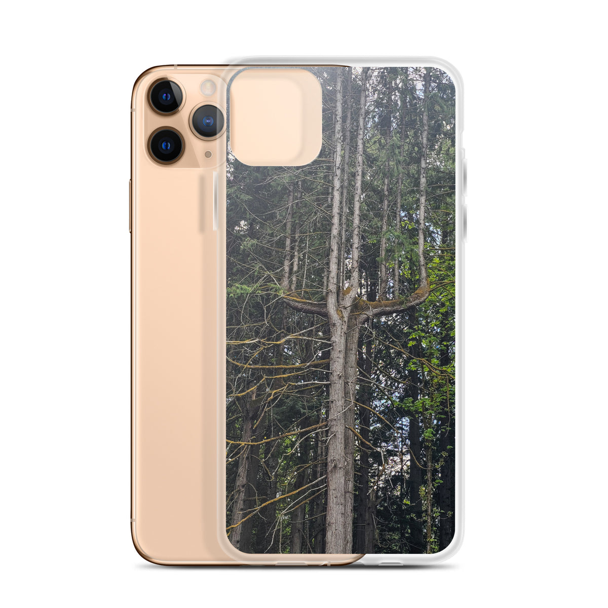 Clear iPhone Pro Max Case with Original Forest Trees Photography Print Protection