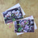 Greeting / Note Cards with Envelopes Featuring Apple Tree Flowers with Raindrops | Original Macro Photography | Blank 4 Cards Set – 4.5”x6.25”, 5.5”x8.5” | Nature Lover Gift
