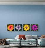 Vibrant Flowers with Raindrops Photography | Set of 4 Square Unframed Canvas Prints | Nature Wall Art for Home & Office