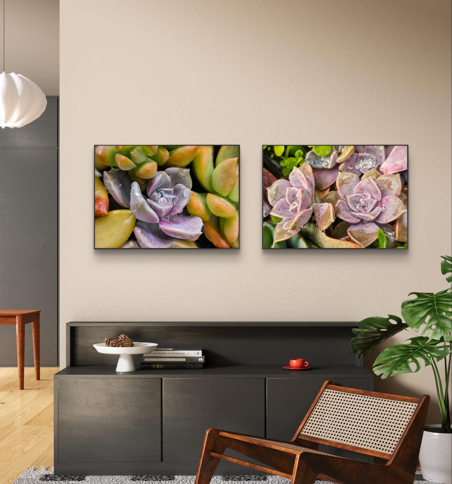 living canvas succulents Succulent Canvas Print Set of 2