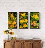 Yellow Flowers with Raindrops Photography | Set of 3 Vertical Unframed Canvas Prints | Nature Wall Art for Home & Office