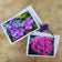 Greeting / Note Cards with Envelopes Featuring Vibrant Hydrangea Blossoms Original Photography | Blank 4 Cards Set 6.25x4.5 in, 8.5x5.5 in
