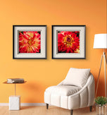 Red Dahlia with Raindrops Nature Macro Photography Canvas Set | 6 Square Prints | Botanical Wall Art