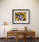 Vibrant Succulents Macro Photography by The Virtue of God | Unframed Horizontal Canvas Set of 2 Prints | Aesthetic Wall Art Home Décor
