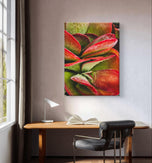 Red Succulents with Raindrops | Vertical Gallery Wrapped Canvas Print | Nature Photography Wall Art for Home & Office