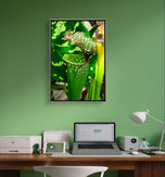 Vibrant Tropical Flowers Closeup Photography Unframed Canvas Set of 3 Prints - Modern Nature Wall Art for Home Office Decor