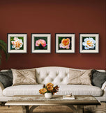 Vibrant Rose Flowers Set of 4 Square Prints | Authentic Nature Closeup Photography | Unframed Canvas Wall Art Collection | Modern Home Office Decor