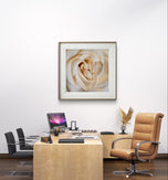 Pale Yellow Rose Canvas Prints Set of 6 - Authentic Nature Closeup Photography - Unframed Square Botanical Wall Art - Biophilic Home Office Decor - Modern Floral Art